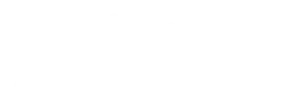 Fortune9 Accountants logo - Registered Tax Agents and Xero Gold Partners in Augustine Heights Ipswich QLD